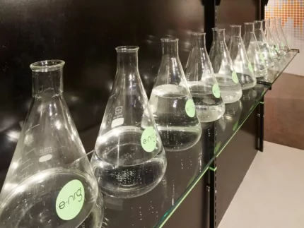 Ethanol Fermentation